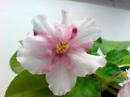 DSC00197.jpg