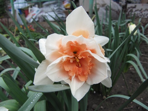 Копия 084.jpg