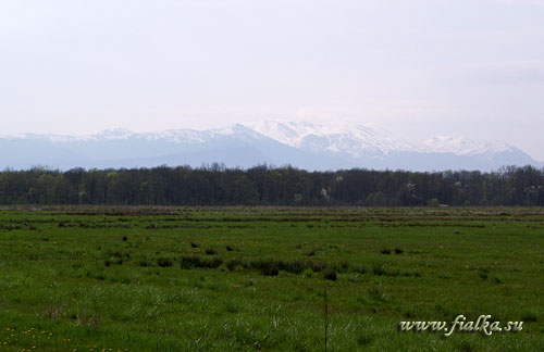 P4170002.jpg
