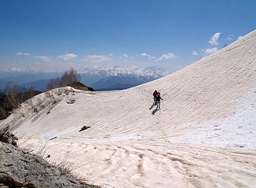 P5020047_.jpg