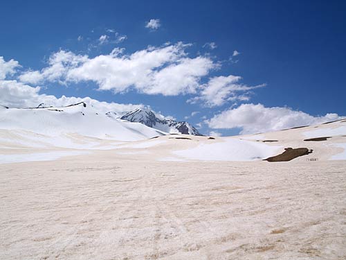 P5020067_.jpg