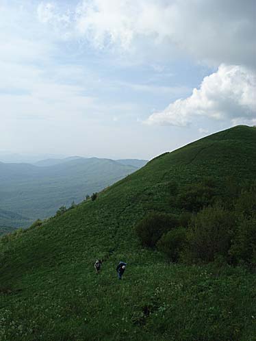 DSC03834.jpg