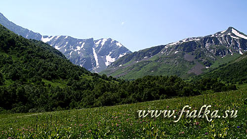 P7100397.jpg