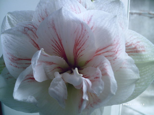 PHOT0062.JPG