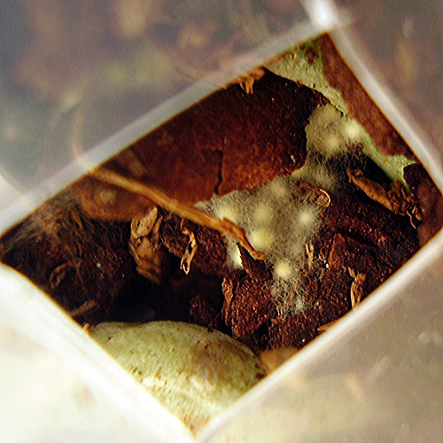P5310018 copy.jpg