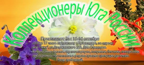 vstavk.jpg