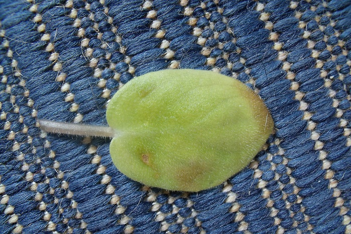 GEDC0255т.jpg
