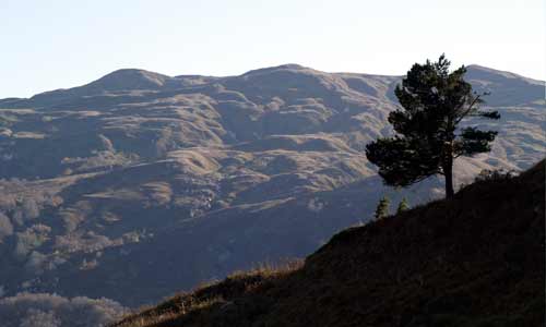 _PA170034.jpg