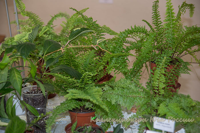DSC_6393.jpg