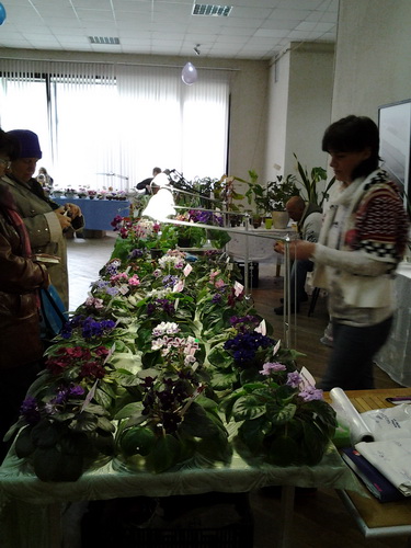20141101_135958.jpg