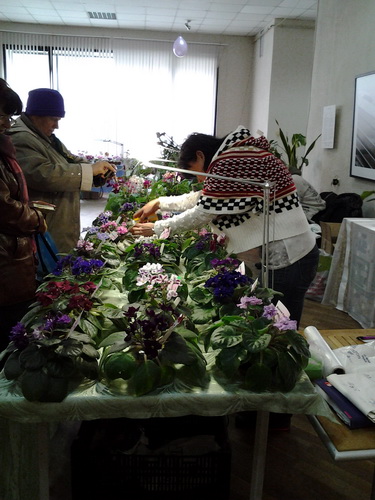 20141101_135952.jpg