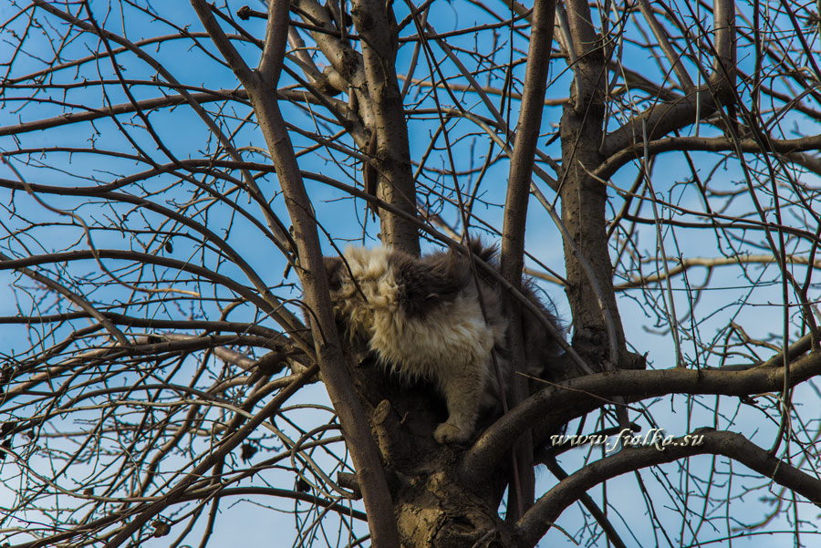 DSC_9156.jpg