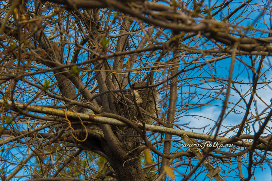 DSC_9158.jpg