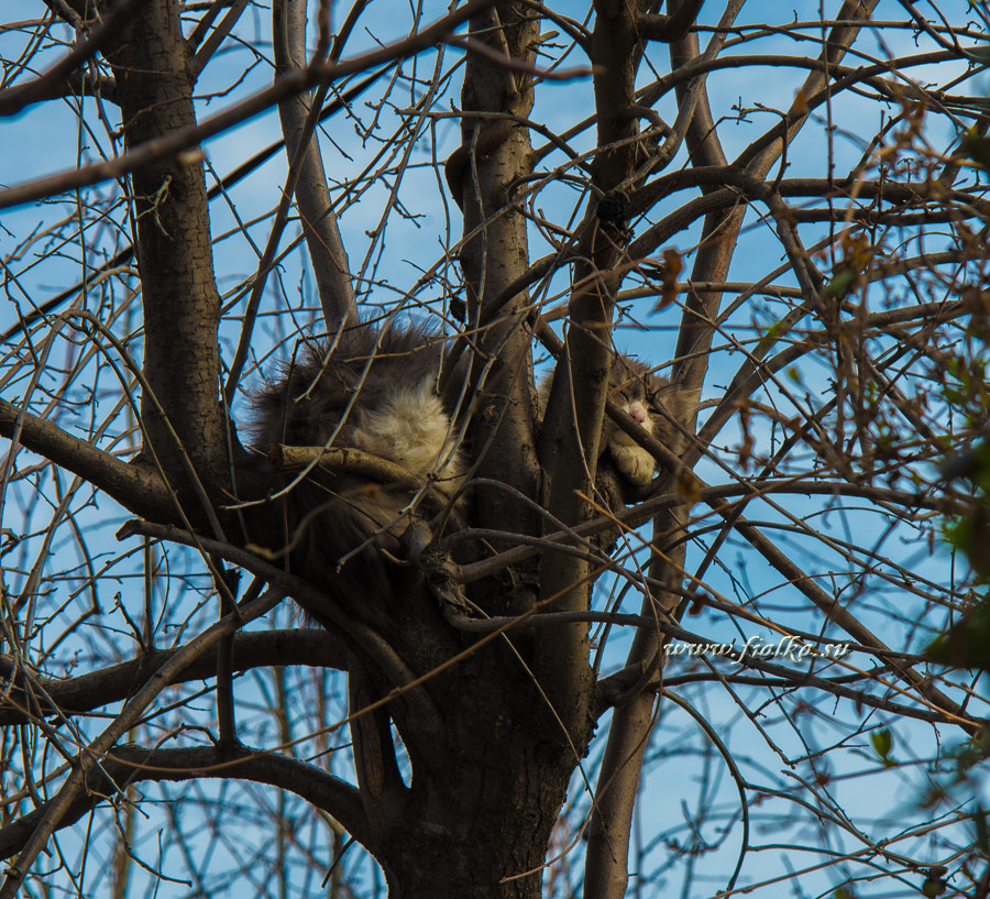 DSC_9159.jpg