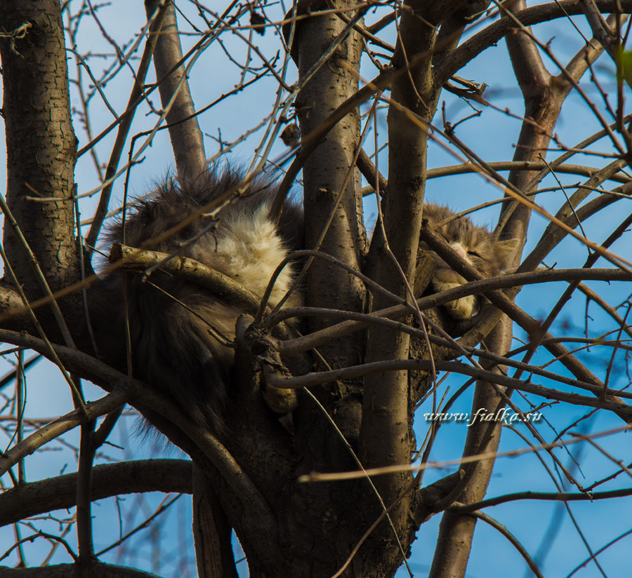 DSC_9160.jpg