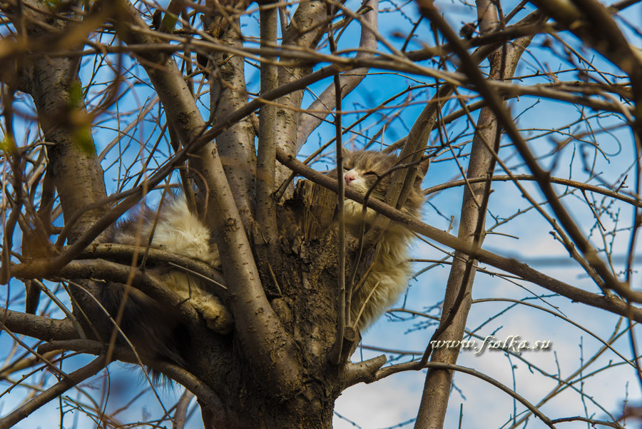 DSC_9161.jpg