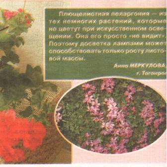 Отсканировано 31.10.2009 20-14.jpg