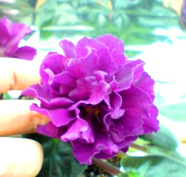 DSC00005.JPG