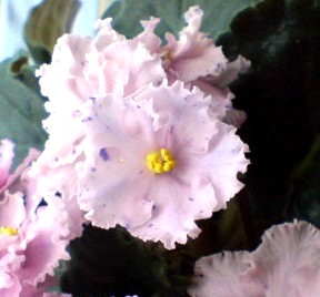 DSC00002.JPG