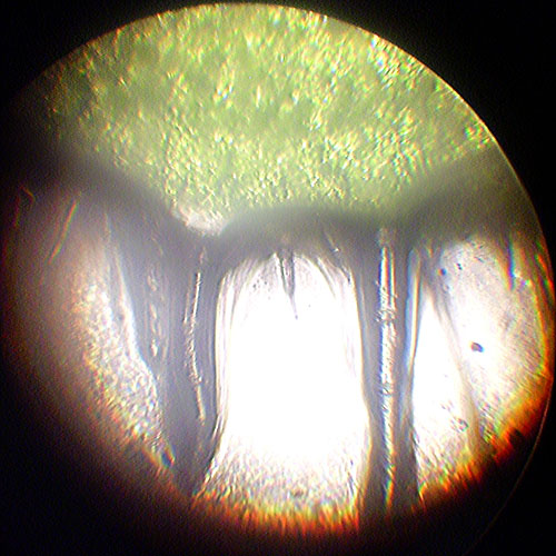 P9060005 copy.jpg