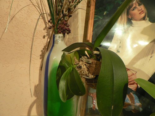 P1050039.JPG