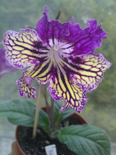 29102010993jpg_изменение размера.jpg