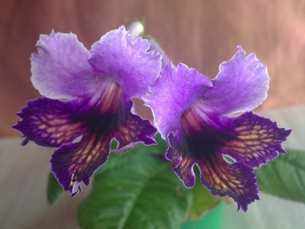 10102010894_изменение размера.JPG