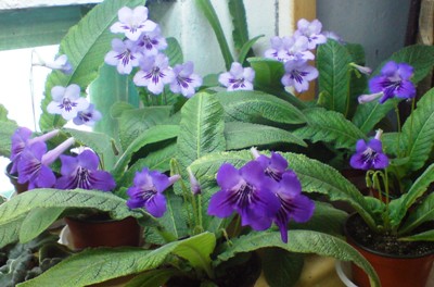 25 сентября (51).JPG