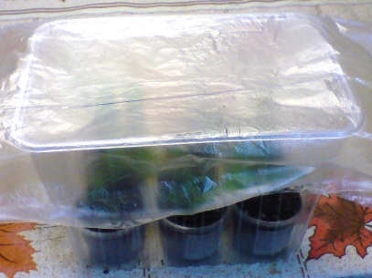 25 сентября (33).JPG