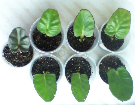 13 октября (19).JPG