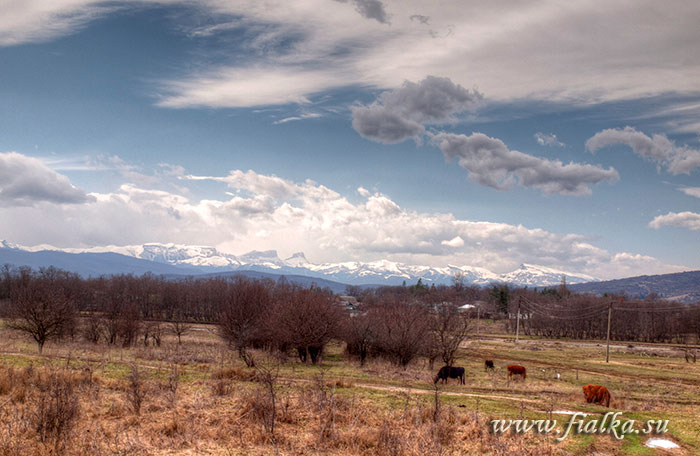 P3206148_49_50_.jpg