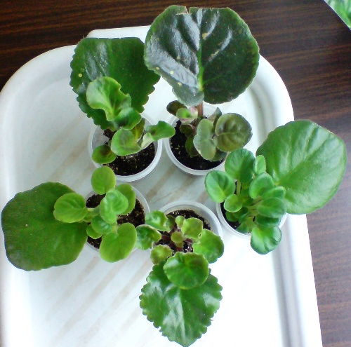 13 октября (21).JPG