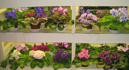 Изображение 029.jpg