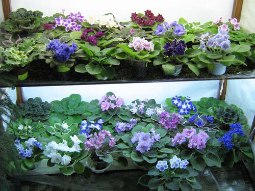 Изображение 044.jpg